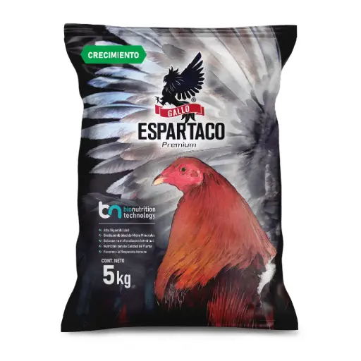 ARA E GALLO ESPARTACO CRECIMIENTO