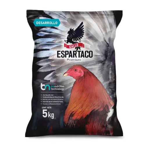 ARA E GALLO ESPARTACO DESARROLLO