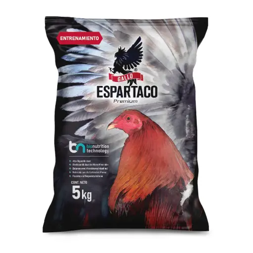 ARA E/G GALLO ESPARTACO ENTRENAMIENTO